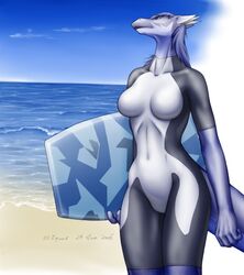 2009 anthro beach body_board breasts clothing cloud countershading despina detailed_background dragon equus female hair horn mythological_creature mythological_scalie mythology non-mammal_breasts one-piece_swimsuit outside purple_hair sand scalie sea seaside sky solo swimwear tail water wetsuit