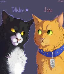  2016 ambiguous_gender black_body black_fur blue_collar cel_shading character_name collar collar_tag dannoitanart digital_drawing_(artwork) digital_media_(artwork) domestic_cat duo english_text eye_contact felid feline felis feral fur green_eyes grey_background handwritten_text hi_res jake_(warriors) looking_aside looking_at_another male_(lore) mammal orange_body orange_fur outline pink_nose pink_outline pink_text purple_outline purple_text shaded signature simple_background smile tallstar_(warriors) text tuxedo_cat warriors_(book_series) white_body white_fur yellow_eyes 