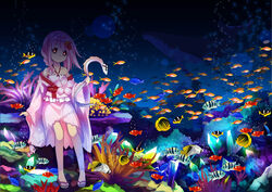  54hao air_bubble animal arm_support bad_id bad_pixiv_id bare_shoulders braid bubble butterflyfish camisole collarbone commentary_request coral coral_reef eel female fish fish_request flower glowing glowing_eyes hair_flower hair_ornament hair_over_shoulder halterneck head_tilt holding holding_animal holding_fish japanese_clothes kimono long_hair long_sleeves looking_at_viewer off_shoulder photoshop_(medium) pink_camisole pink_hair pink_kimono red_eyes ribbon-trimmed_camisole ribbon_trim sandals school_of_fish sergestid_shrimp_in_tungkang short_kimono shrimp side_braid single_braid sitting solo tropical_fish underwater wide_sleeves x_x xuan_ying zouri 