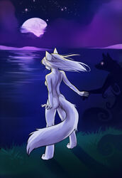 anthro ass breasts canid canine casual_nudity cloud demicoeur digital_media_(artwork) digitigrade domestic_cat duo featureless_breasts felid feline felis female full-length_portrait fur hand_holding mammal night nikki_blackcat nude outside portrait side_boob sky solo_focus standing tail whiskers white_body white_fur