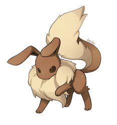 ambiguous_gender brown_body brown_eyes brown_fur canid canine eevee feral fluffy fluffy_tail fur generation_1_pokemon long_ears mammal nedoiko nintendo pokemon pokemon_(species) simple_background solo tail white_background