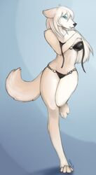 anthro bikini blue_eyes canid canine canis clothed clothing female fur long_legs looking_at_viewer mammal shestaroo skimpy solo swimwear tail undressing white_body white_fur wolf