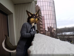 2012 4:3 airguitar_(character) anthro canid canine clothing eyewear female glasses kappy mammal maned_wolf outside photo_manipulation snow solo tail third-party_edit window