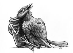 2012 alcohol ambiguous_gender avian beak beer beverage bird bombird can container corvid corvus_(genus) crow feral food greyscale guinness monochrome oscine passerine raven simple_background sketch solo white_background