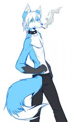 anthro blue_eyes canid canine canis cigarette dipstick_tail green_eyes hair heterochromia hi_res koorimizu male mammal markings pose simple_background smoke smoking solo tail tail_markings white_background wolf wolfy_(chaoticicewolf)