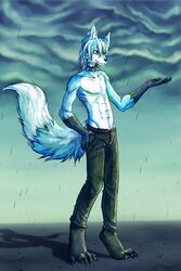 2012 abs anthro barefoot biped blue_body blue_fur canid canine canis claws clothed clothing collar feet fur hair hi_res koorimizu male mammal outside pose raining solo tail toe_claws topless v-cut wet white_body white_fur white_hair wolf wolfy_(chaoticicewolf)