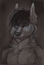 2012 anthro bust_portrait canid canine canis charcoal_(artwork) clothed clothing fur hi_res highlights_(coloring) looking_at_viewer male mammal monochrome muscular muscular_anthro muscular_male nude pecs portrait pose reddyeno5 reverse_charcoal simple_background sketch solo topless traditional_media_(artwork) wolf