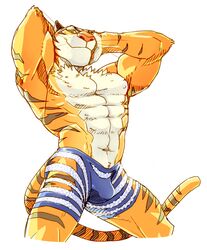  abs anthro beaugilliam biceps bottomwear bulge chest_tuft clothing countershading disney felid hands_behind_head hi_res male mammal muscular muscular_anthro muscular_male navel pantherine pecs pose shorts smile solo stripes tiger tiger_dancer_(zootopia) tuft yellow_eyes zootopia zootopia_shorts 