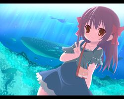  animal blush brown_hair collarbone commentary_request dress female fish kuronekogata letterboxed long_hair looking_at_viewer original red_eyes smile solo v whale 