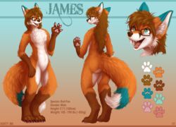  absurd_res anthro blue_body blue_eyes blue_fur brown_hair canid canine chibity claws eyewear fluffy fox fur glasses hair happy hi_res james_(weatherboy1102) leg_markings long_hair looking_at_viewer male mammal markings model_sheet orange_body orange_fur pawpads red_fox socks_(marking) solo true_fox white_body white_fur 