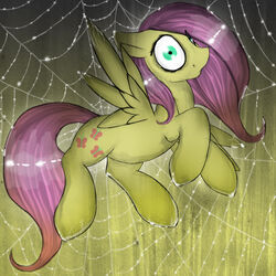 1:1 absurd_res arthropod_webbing bound cutie_mark equid equine feathered_wings feathers female feral fluttershy_(mlp) friendship_is_magic fur green_eyes hair hair_over_eye hasbro hi_res long_hair looking_at_viewer mammal my_little_pony mythological_creature mythological_equine mythology one_eye_obstructed pegasus pink_hair solo spider_web submissive submissive_female web_bondage wings xenalollie yellow_body yellow_feathers yellow_fur