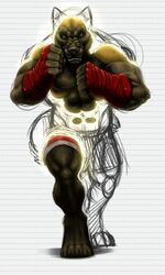 3:5 abs anthro athletic bandage biceps big_muscles biped black_body black_fur black_nose blue_eyes bottomwear brown_body brown_fur canid canine canis claws clothed clothing fangs from_drawing_to_reality fur gloves handwear hi_res lined_paper looking_at_viewer male mammal muscular muscular_anthro muscular_male mythological_canine mythological_creature mythology pecs portal pose rrowdybeast shorts sketch solo standing teeth toe_claws topless transformation were werecanid werecanine werewolf wolf wrecker