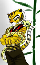 5:8 anthro dreamworks duo felid female kung_fu_panda mammal master_tigress master_viper one_eye_closed pantherine tiger unknown_artist whiskers wink