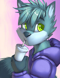 2013 4_fingers anthro blue_body blue_fur canid canine clothed clothing container cup digital_media_(artwork) dipstick_ears disposable_cup drinking ear_markings fingers fox fur gradient_background green_eyes hair half-length_portrait holding_container holding_cup holding_object hoodie jacket looking_aside looking_at_viewer male mammal multicolored_ears portrait short_hair side_view simple_background solo straw_(disambiguation) thefuckingdevil topwear