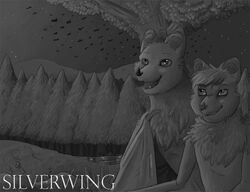 2013 bat bat_wings detailed_background duo fangs female feral fidchellvore forest fur greyscale happy male mammal marina_brightwing membrane_(anatomy) membranous_wings monochrome night nude outside plant realistic_wings shade_silverwing silverwing_(series) teeth tree wings