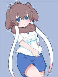  alternate_costume animal_ears blue_eyes blue_shorts brown_fur brown_hair cowboy_shot elephant_ears elephant_girl extra_ears female fur_collar gym_shirt gym_shorts gym_uniform highres kemono_friends long_hair looking_at_viewer mammoth_(kemono_friends) name_tag numazoko_namazu shirt short_sleeves shorts sidelocks solo t-shirt translation_request white_hair white_shirt 