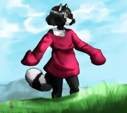  anthro canid canine clothed clothing cloud cloudy_(disambiguation) cloudy_sky day fur grass grass_field hi_res leofwulf male mammal mountain oversized_clothing plant procyonid raccoon raccoon_dog scenery signature sky solo swinging_arms tanuki 