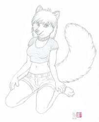 2014 4_toes anastasia_(kalahari) anthro arctic_fox barefoot black_nose bottomwear breasts canid canine claws cleavage clothed clothing collar feet female fox full-length_portrait graphite_(artwork) greyscale hi_res kacey kalahari_(character) looking_at_viewer mammal midriff monochrome navel pencil_(artwork) plantigrade portrait shorts simple_background smile solo tail toes traditional_media_(artwork) true_fox white_background