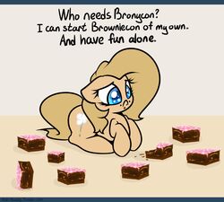 backy_(mlp) blue_eyes brown_body brown_fur brown_hair brownies crumbs earth_pony english_text equid equine fan_character female feral food fur hair hasbro horse letterbox mammal my_little_pony pony sad shadow slavedemorto solo text