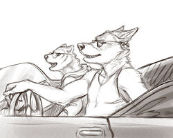 5:4 anthro arctic_fox canid canine canis car clothing convertible coyote driving duo ear_piercing ears_back eyewear fangs fox fur glasses greyscale happy hoodie inside_car male mammal monochrome motor_vehicle piercing pivoted_ears puquanah ransom reclining rukis shirt sitting sketch sunglasses tank_top teeth topwear true_fox vehicle