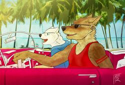 anthro arctic_fox canid canine canis car chevrolet clothing convertible coyote driving duo ear_piercing ears_back eyewear fangs fox fur glasses happy hoodie inside_car male mammal motor_vehicle piercing pivoted_ears puquanah ransom reclining rukis shirt sitting sunglasses tank_top teeth topwear true_fox vehicle