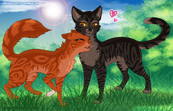 2014 black_nose black_stripes blue_sky blush blush_lines bramblestar_(warriors) brown_body brown_countershading brown_fur canon_couple cel_shading character_name chin_on_head circle_eyebrows classic_tabby claws closed_eyes cloud colored countershade_face countershade_legs countershade_neck countershade_tail countershade_torso countershading detailed_background digital_media_(artwork) domestic_cat duo eyebrows felid feline felis female feral fluffy fluffy_tail fur glistening glistening_eyes grass green_grass heart_symbol in_grass inner_ear_fluff lens_flare love male male/female mammal markings nature nature_background neck_tuft one_leg_up open_mouth orange_body orange_countershading orange_eyes orange_fur outside plant quadruped raised_leg romantic romantic_couple rukifox shaded sky smile squirrelstar_(warriors) standing striped_body striped_fur stripes sun swirl_pattern tabby_cat tail tail_markings teeth text tree tuft url warriors_(book_series) whiskers whiskers_spots white_paw