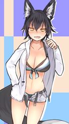 animal_humanoid belt big_breasts bikini black_hair blush bottomwear breasts canid canid_humanoid canine canine_humanoid cleavage clothed clothing fangs female fox fox_humanoid fox_tail front-tie_top hair hoodie humanoid looking_at_viewer mammal mammal_humanoid midriff nanashi_(shirogane_usagi) open_bottomwear open_clothing open_mouth open_pants open_shorts pants pupils shirogane_usagi short_hair shorts slit_pupils solo swimwear swimwear_under_clothing teeth topwear unbuttoned undressing yellow_eyes