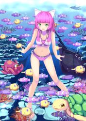  animal_ears barefoot bikini commentary_request female fish freediving green_eyes highres long_hair maki_(makidai2024) navel octopus pink_hair ship solo swimming swimsuit turtle umi_monogatari underwater urin_(umi_monogatari) watercraft 