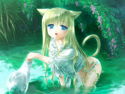  animal_ears cat_ears cat_tail female green_eyes green_hair green_panties green_tail green_theme hat leaning_forward long_hair long_sleeves mizui_kaou panties photoshop_(medium) shirt side-tie_panties solo sun_hat tail techgian tied_shirt underwear water wet wet_clothes wet_shirt 