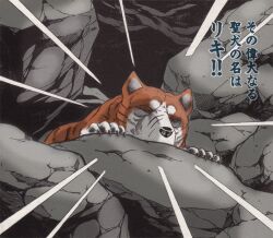  akita akita_inu canine claws ginga_nagareboshi_gin riki_(ginga_nagareboshi_gin) scar 