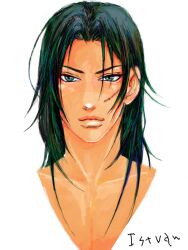  1boy black_hair fantasy green_eyes guin_saga istavan_spellsword male male_focus scar simple_background solo white_background 