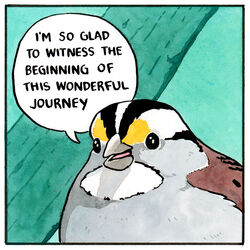  1:1 ambiguous_gender avian beady_eyes beak bird black_body black_feathers border branch brown_body brown_feathers dialogue english_text falseknees feathers feral glistening glistening_eyes nature nature_background open_beak open_mouth sarcasm solo speech_bubble text tongue traditional_media_(artwork) white-throated_sparrow white_body white_border white_feathers wings yellow_body yellow_feathers 