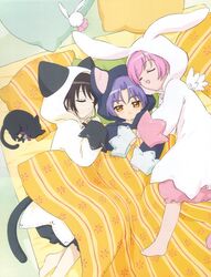  1boy 2girls animal animal_costume animal_ears artist_request barefoot black_cat blanket cat_costume cat_ears cat_tail closed_eyes feline from_above higuchi_kotarou lying misha_(pita_ten) multiple_girls nyaa-san official_art on_back on_side orange_eyes pajamas pillow pink_hair pita_ten purple_hair rabbit_costume rabbit_ears shia_(pita_ten) sleeping stuffed_animal stuffed_rabbit stuffed_toy tail wings 