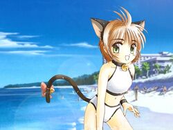  animal_ears bell bikini brown_eyes cardcaptor_sakura cat_ears cat_tail collar fake_animal_ears female green_eyes kinomoto_sakura md5_mismatch neck_bell open_mouth ribbon solo swimsuit tail tail_ornament tail_ribbon takano_hayato white_bikini 