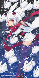  akatsuki_gomoku animal_ears detached_sleeves female japanese_clothes kimono nicomi.com obi purple_thighhighs rabbit rabbit_ears red_eyes red_scarf sash scarf short_hair short_kimono snow snow_rabbit snowing solo striped_clothes striped_thighhighs thighhighs watermark web_address white_hair 