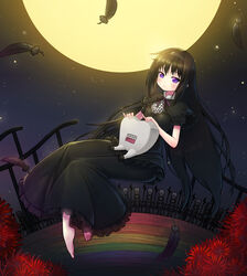  akemi_homura akemi_homura_(black_dress) barefoot black_hair braid commentary_request dress familiar_(madoka_magica) feathers female floating flower full_moon funeral_dress hairband highres homulilly k1_(erin22) lilia_(madoka_magica) long_hair looking_at_viewer lotte_(madoka_magica) mahou_shoujo_madoka_magica mahou_shoujo_madoka_magica:_hangyaku_no_monogatari moon night night_sky photoshop_(medium) polearm purple_eyes sky smile spear spider_lily spoilers teeth twin_braids weapon 