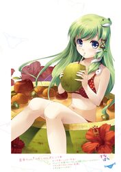  absurdres apple artbook bare_arms bare_shoulders bikini blue_eyes breasts coconut drinking drinking_straw female fingernails flower food frog_hair_ornament fruit fruit_cup fruit_on_liquid hair_ornament hibiscus highres holding incredibly_absurdres kiwi_(fruit) kochiya_sanae long_hair looking_at_viewer medium_breasts miyase_mahiro navel orange_(fruit) page_number partially_submerged polka_dot polka_dot_bikini red_bikini resized simple_background snake_hair_ornament solo stomach swimsuit tied_hair touhou upscaled 