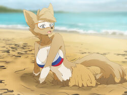  4:3 anthro arm_tuft beach big_breasts bikini breasts brown_body brown_fur canid canine canis clothing eyewear female fifa flag flag_bikini flag_print fur gloves_(marking) goggles hair inner_ear_fluff mammal markings mascot mtf_crossgender navel open_mouth outside print_bikini print_clothing print_swimwear quicksand rule_63 russian_flag russian_flag_bikini sand seaside shoulder_tuft sinking solo stuck swimwear tuft white_body white_fur wolf zabivaka zekkymzn 