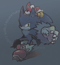  2009 ambiguous_gender anthro biped black_eyes blue_body blue_fur carrying_another chip_(sonic) claws clothing dated duo english_text eulipotyphlan footwear frown fur green_eyes male mammal niwa0w0 on_head red_body red_fur sega shoes sonic_the_hedgehog sonic_the_hedgehog_(series) sonic_the_werehog sonic_unleashed text were wereeulipotyphlan werehog white_body white_fur 