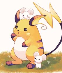  artist_name commentary grass no_humans on_grass open_mouth pokemon pokemon_(creature) raichu simple_background su_(sajo_su5) tandemaus watermark white_background 