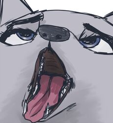  ambiguous_gender anthro arctic_fox canid canine disney famished_(artist) fangs fox fur headshot_portrait icon in_the_court_of_the_crimson_king king_crimson looking_pleasured mammal mouth_shot open_mouth portrait reaction_image simple_background skye_(zootopia) solo teeth tongue true_fox white_background white_body white_fur zootopia 