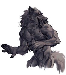  anthro canid canine canis claws fur grey_body grey_fur hi_res male mammal muscular mythological_canine mythological_creature mythology neck_tuft nmvsolidus open_mouth pawpads paws pecs simple_background solo teeth tuft were werecanid werecanine werewolf wolf 