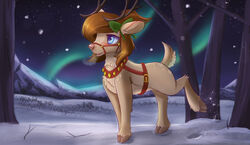  absurd_res alternate_species antlers ardail aurora_(phenomenon) bell blue_eyes blush bow_(feature) bridle brown_hair cloven_hooves deer female feral hair heart_symbol hi_res hooves horn mammal mocha_latte new_world_deer reindeer reins snow snowing solo 