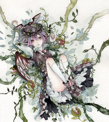  boots commentary_request entangled female hat high_heels kneehighs lying mystia_lorelei nature on_back painting_(medium) panties pink_hair pinkxxxna plant red_eyes shoes short_hair socks solo touhou traditional_media underwear venus_flytrap vines watercolor_(medium) white_panties white_socks wings 