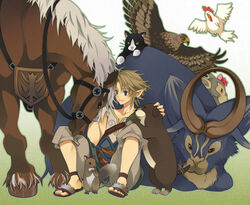  1boy animal bad_id bad_pixiv_id bird blonde_hair blue_eyes canine chicken cucco eagle earrings epona feline goat horse jewelry kame_tora link male_focus monkey ordon_goat pointy_ears sheep solo_focus squirrel the_legend_of_zelda the_legend_of_zelda:_twilight_princess 