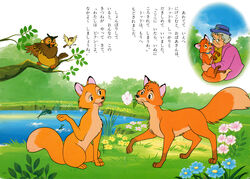  all_fours ambiguous_gender avian big_mama_(tfath) bird branch brown_body brown_feathers canid canine canon_couple carrying_another children&#039;s_book clothed clothing collar detailed_background dinky_(tfath) disney elderly_female eye_contact eyewear feathered_wings feathers female feral finch fish flower flower_in_mouth forest fox glasses grass group hat headgear headwear human in_tree japanese_text jumping looking_at_another male mammal marine mature_female mature_human nature object_in_mouth old oscine outside owl passerine plant red_fox scan sitting sky standing tail tail_feathers text the_fox_and_the_hound tod_(tfath) toony translated tree true_fox unknown_artist vixey_(tfath) water widow_tweed wings young 