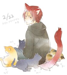  1boy animal_ears bad_id bad_pixiv_id cat_day cat_ears cat_tail dated feline free! from_behind full_body looking_back male_focus matsuoka_rin red_eyes red_hair red_tail simple_background solo tail tame white_background 