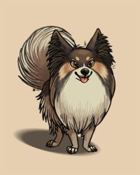  2016 4:5 abigfathen brown_eyes canid canine canis claws domestic_dog feral fluffy inner_ear_fluff looking_at_viewer mammal papillon simple_background smile solo standing toe_claws tongue tongue_out toy_dog tuft 