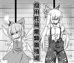  2girls :t bandage_over_one_eye bow bruise bruised_eye cast cirno eien_no_sai_tori fujiwara_no_mokou greyscale hairbow hand_in_pocket height_chart height_difference injury long_hair monochrome mugshot multiple_girls pants photoshop_(medium) short_hair suspenders touhou translated wings 