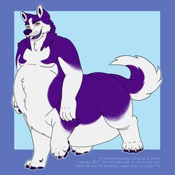  1:1 absurd_res brown_eyes canid canine canis domestic_dog english_text fur hi_res husky kisaofthesnow male mammal nordic_sled_dog overweight overweight_male overweight_taur purple_body purple_fur solo spitz taur text white_body white_fur zenith 